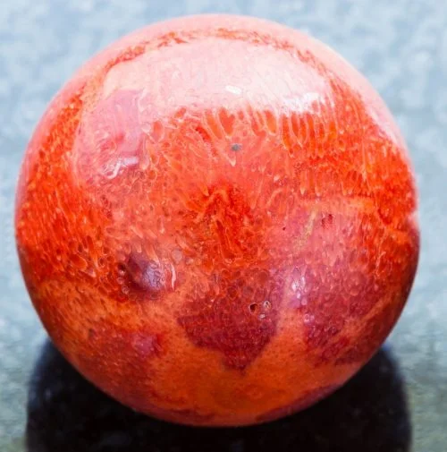 Natural Red Coral